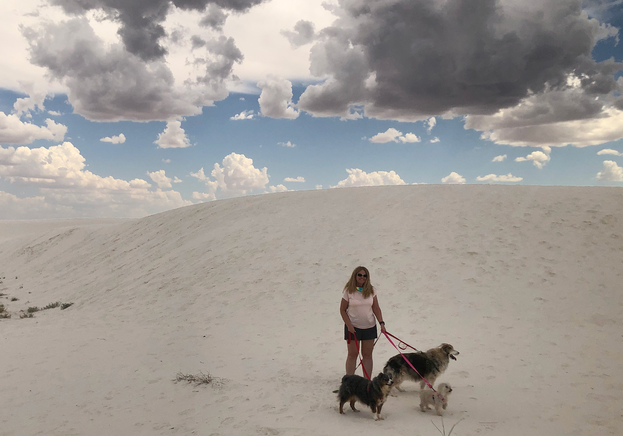 Dogs at White Sands